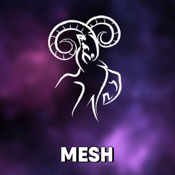 Mesh Rashi Puja