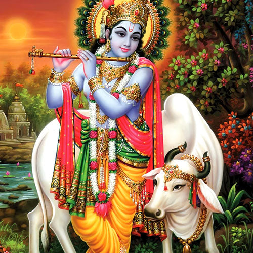 Puja for Cows/ Go Puja