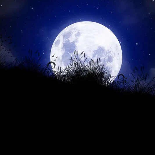 Purnima Vrat Vidhi